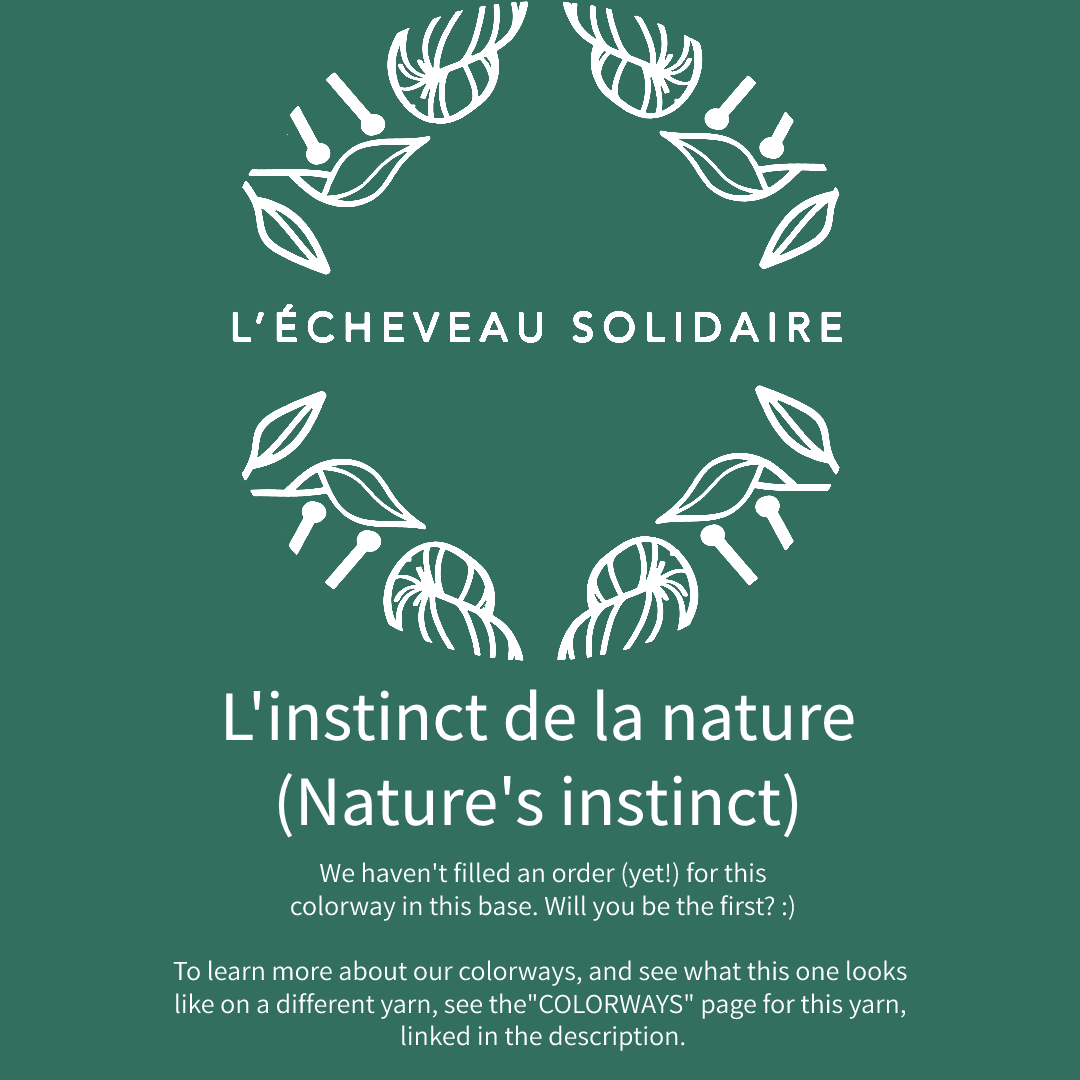 ECLIPSE / RESTOCK END OF JANUARY ONLY