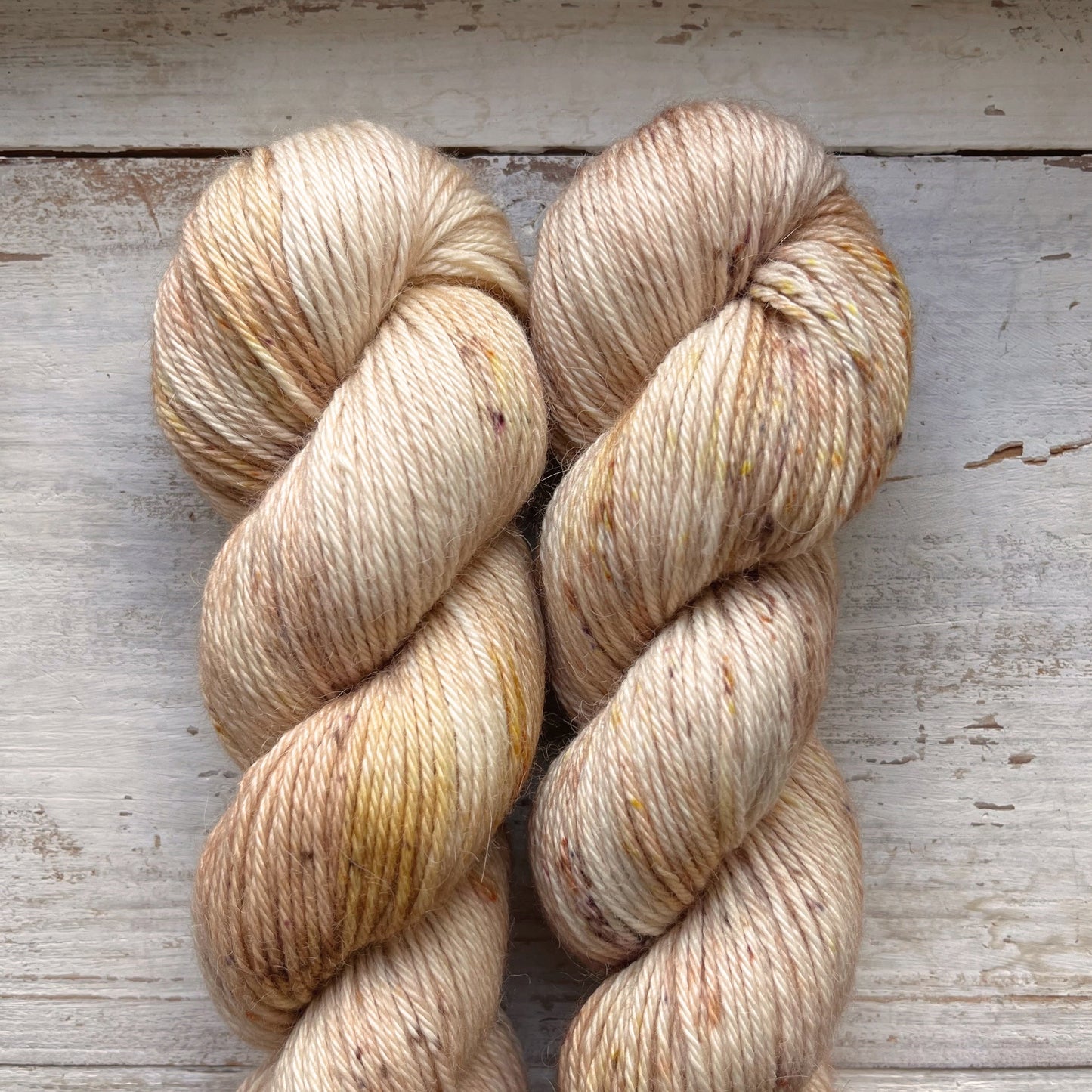 ECLIPSE / RESTOCK END OF JANUARY ONLY