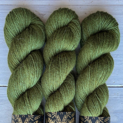 ECLIPSE / RESTOCK END OF JANUARY ONLY