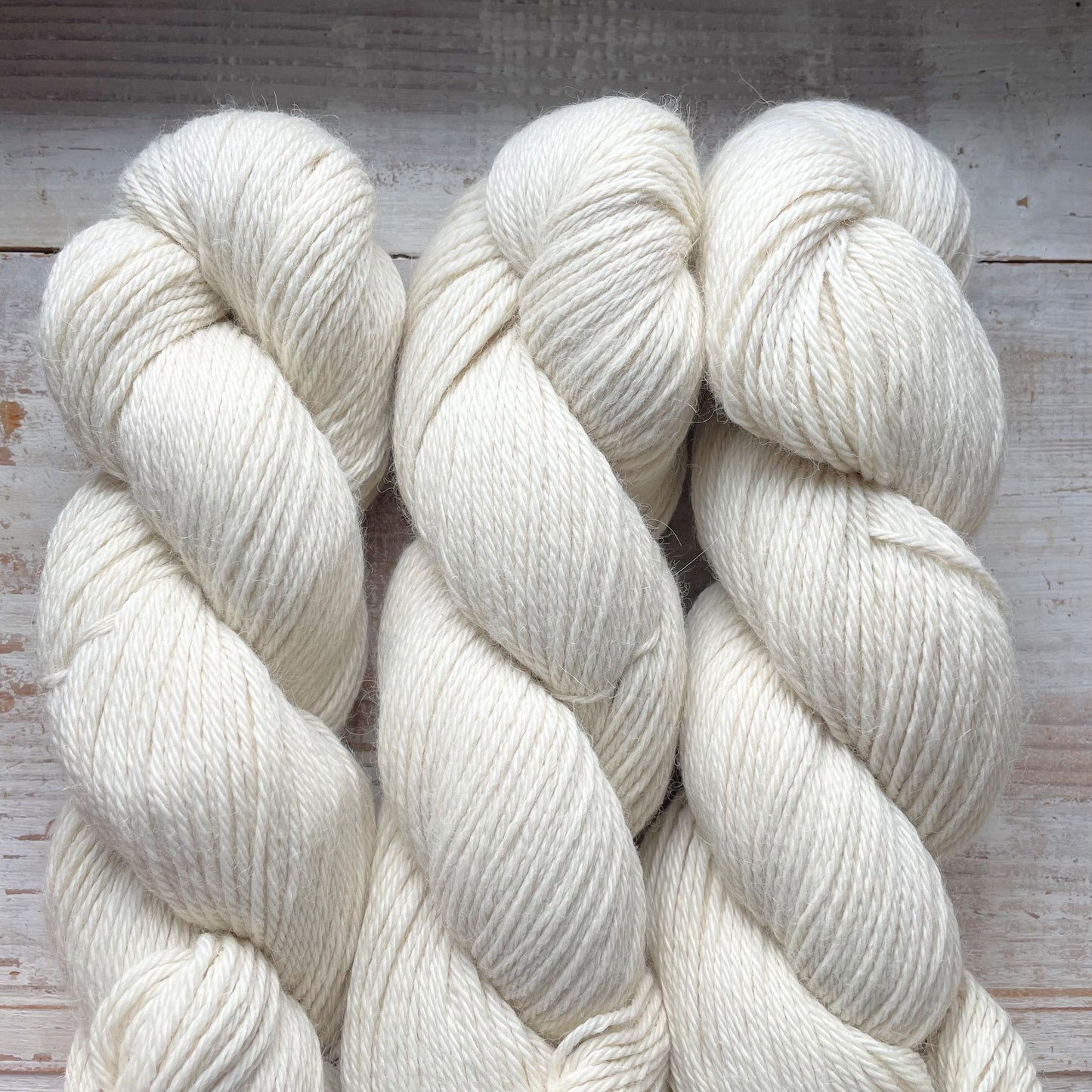 ECLIPSE / RESTOCK END OF JANUARY ONLY