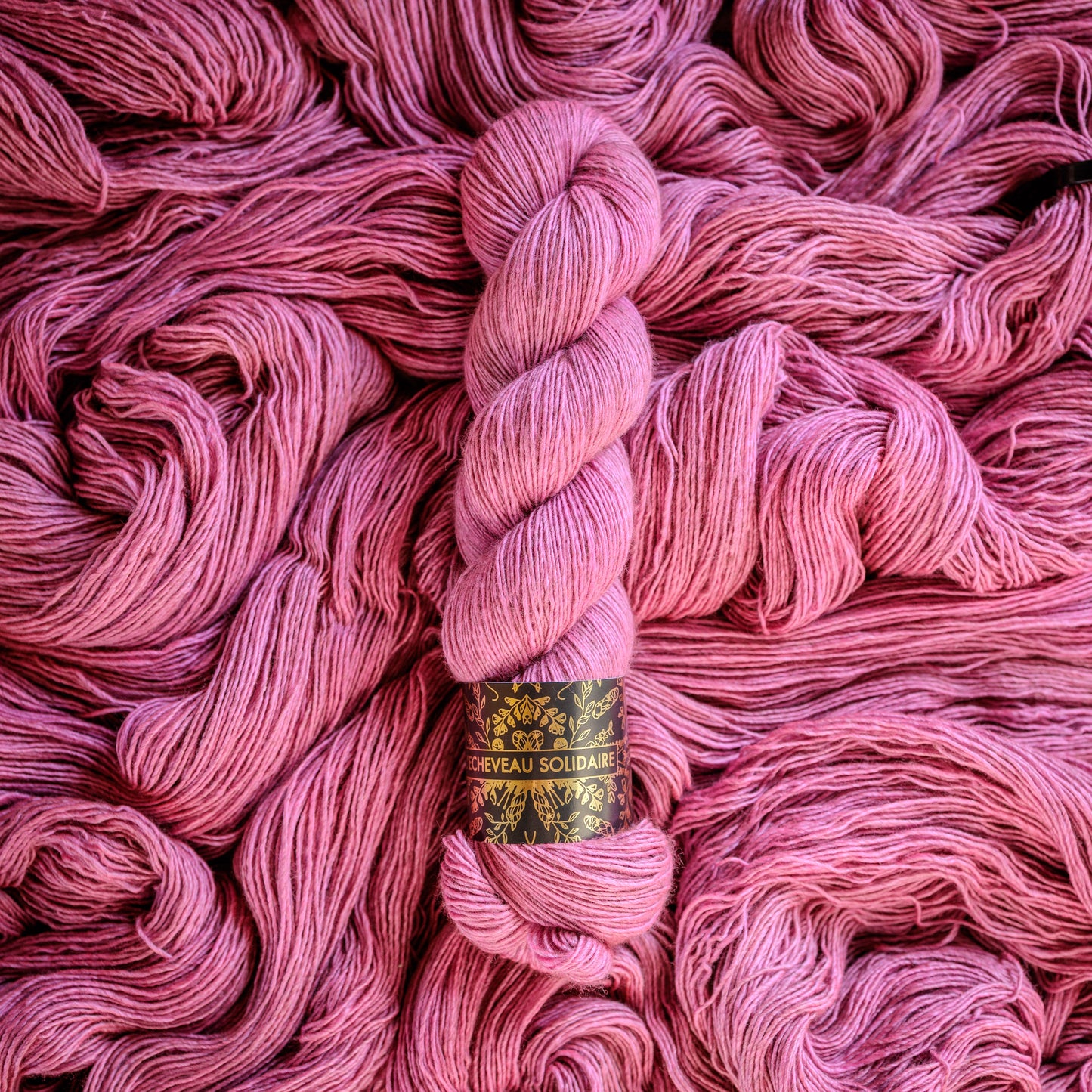 ZENITH - Statement Pink