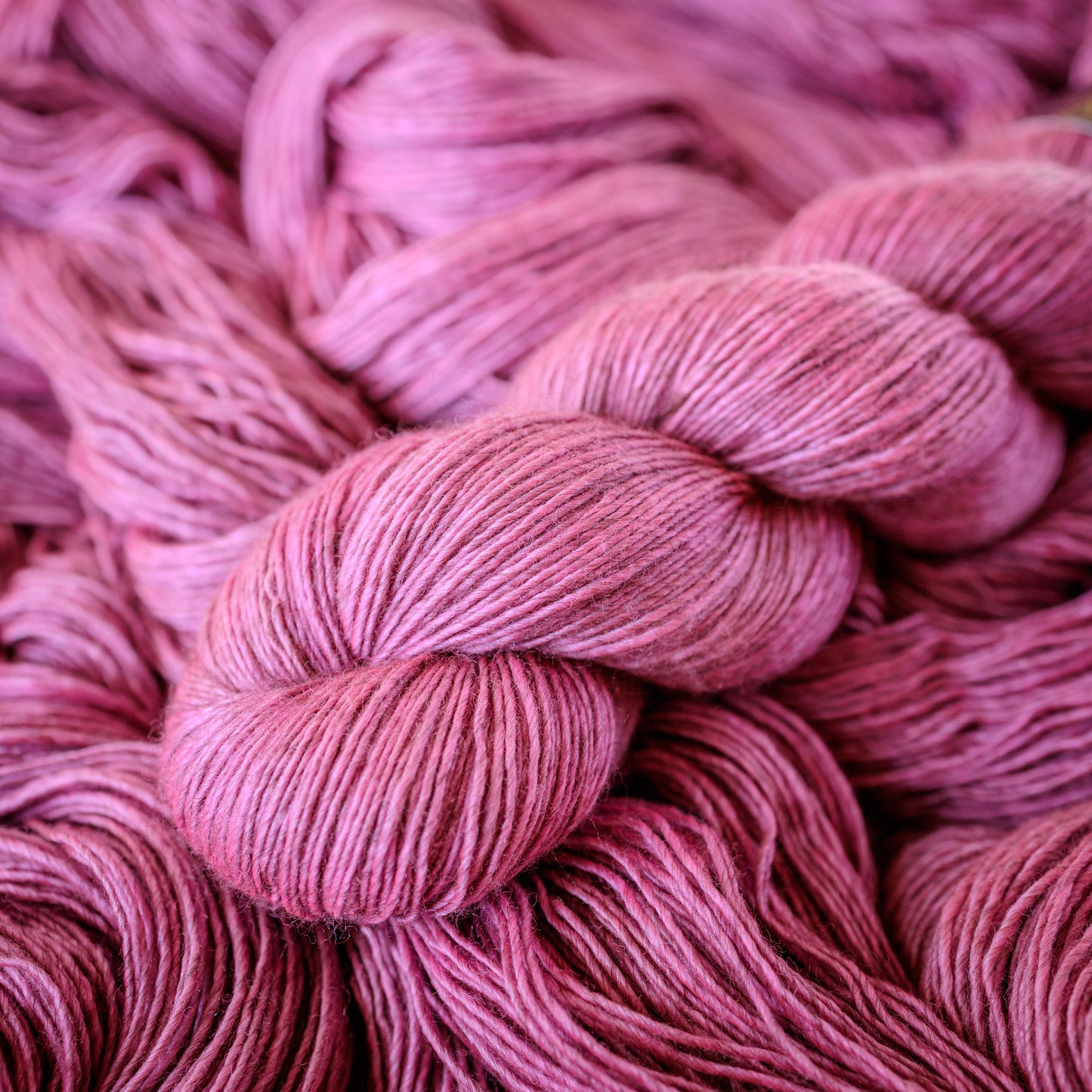ZENITH - Statement Pink